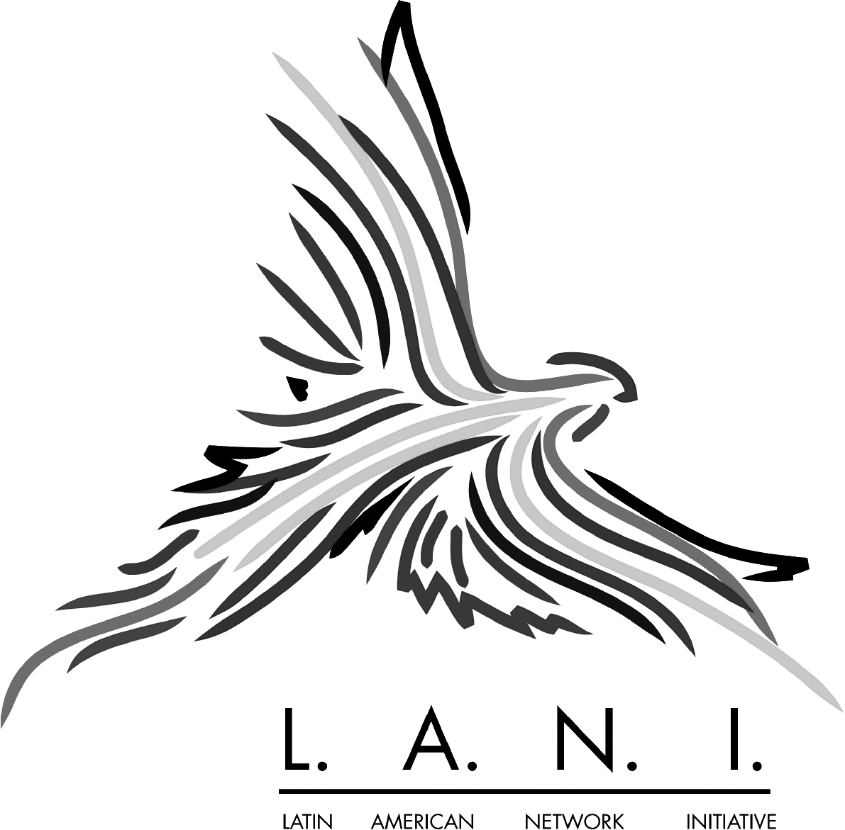 Logo Latin American Network Initiative (LANI)